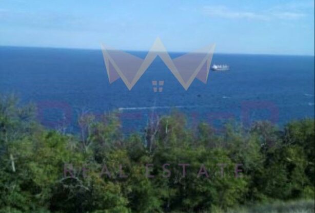 Обява за имот 967717, Площ: 15350 м<sup>2</sup>, Цена: 1400000 EUR - Имоти Премиер