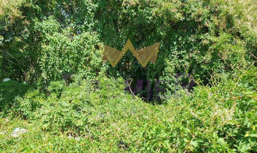 Парцел Боровец Север - - снимка 3 - Имоти Премиер