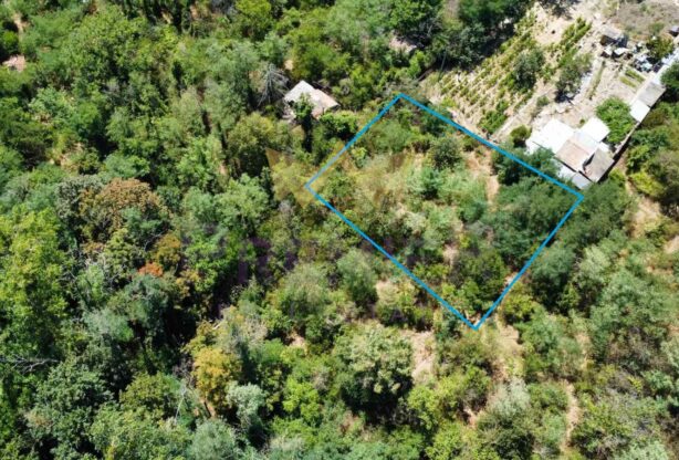 Агенция за недвижими имоти - Имоти Премиер - имот - 1056129, Цена: 45000 EUR