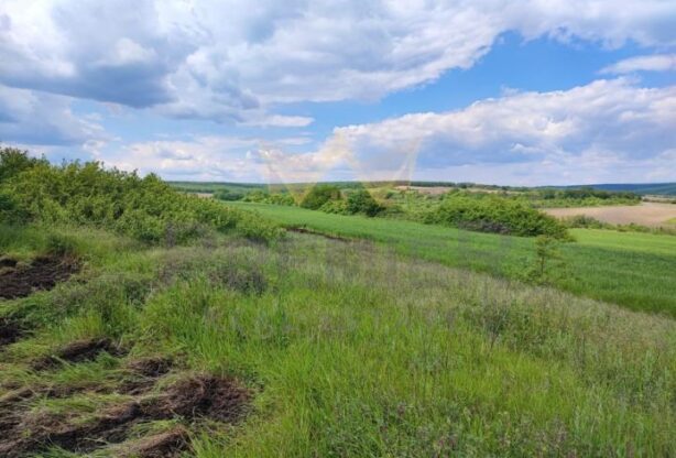 Агенция за недвижими имоти - Имоти Премиер - имот - 1059882, Цена: 30000 EUR