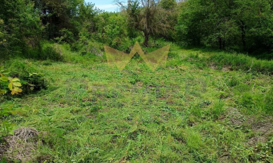 Агенция за недвижими имоти - Имоти Премиер - имот - 1105603, Цена: 10000 EUR