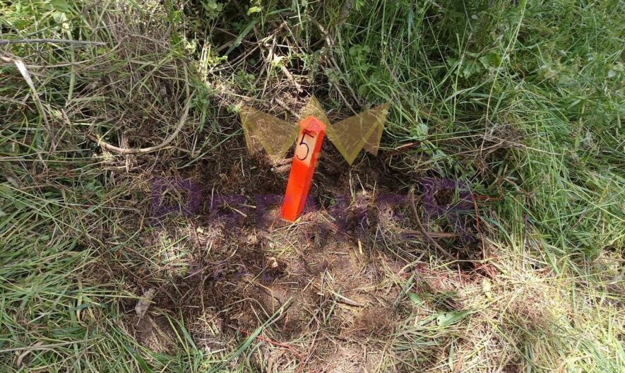 парцел с отличен потенциал в с. Водица, обл. Варна - - снимка 3 - Имоти Премиер