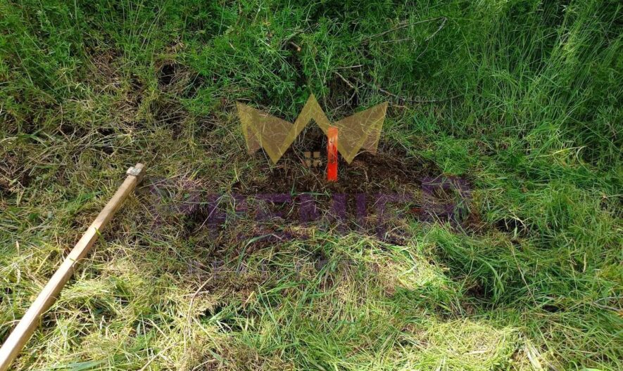 парцел с отличен потенциал в с. Водица, обл. Варна - - снимка 4 - Имоти Премиер