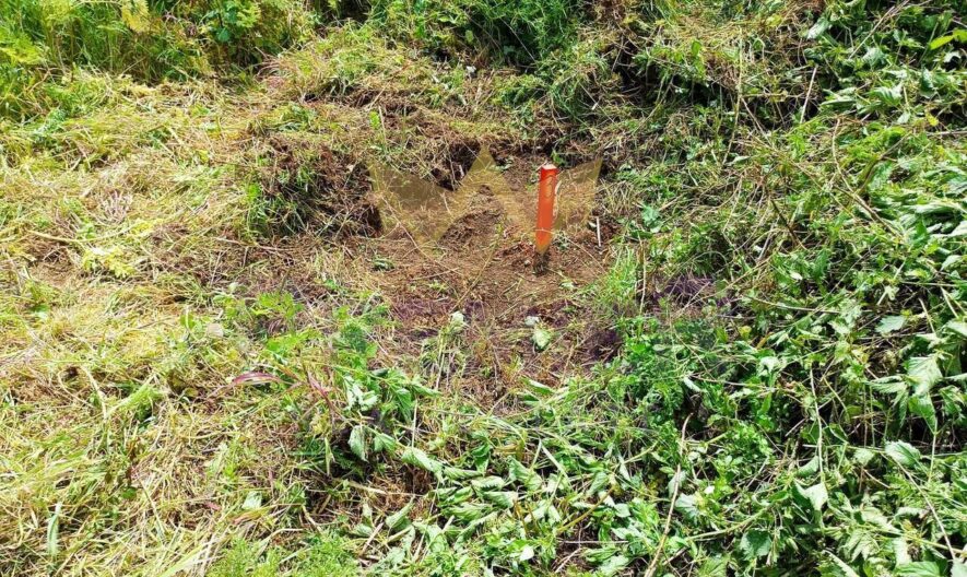 парцел с отличен потенциал в с. Водица, обл. Варна - - снимка 5 - Имоти Премиер