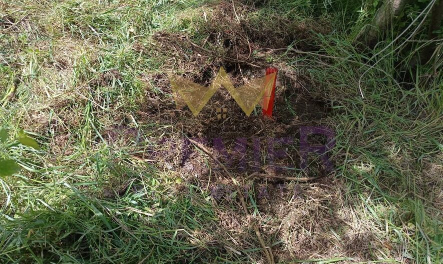 парцел с отличен потенциал в с. Водица, обл. Варна - - снимка 7 - Имоти Премиер