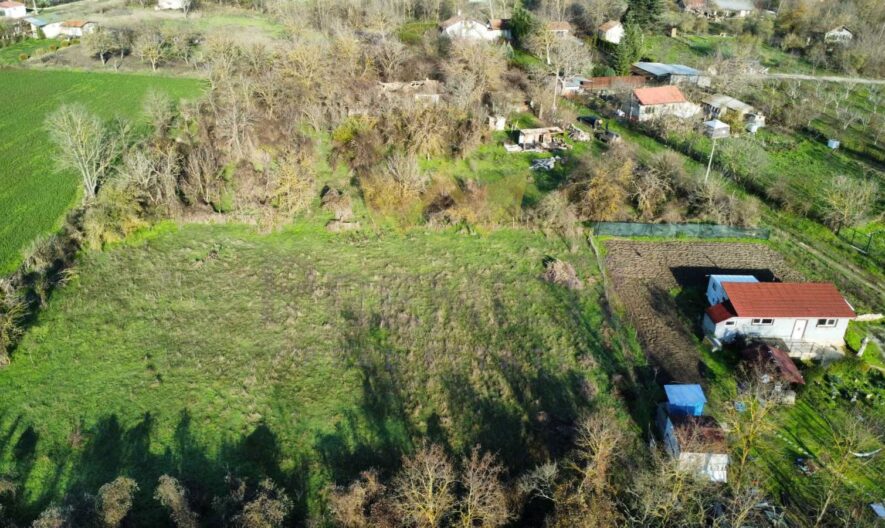 Парцел с.Щипско , общ. Вълчи дол, обл. Варна -  - снимка 4 - Имоти Премиер