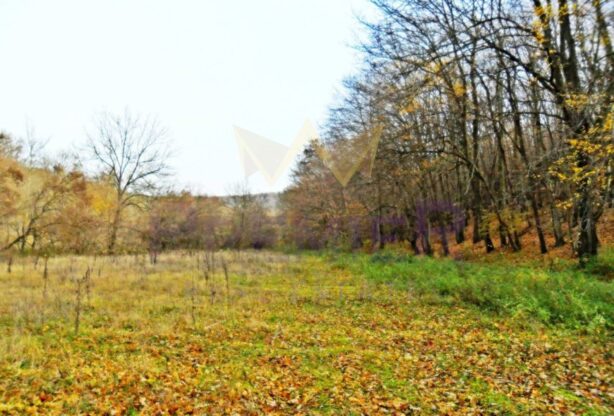 Агенция за недвижими имоти - Имоти Премиер - имот - 1050134, Цена: 188655 EUR