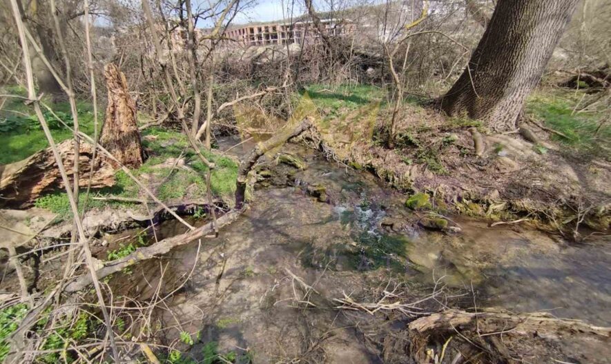 Парцел в близост до плажа на Каварна . -  - снимка 3 - Имоти Премиер