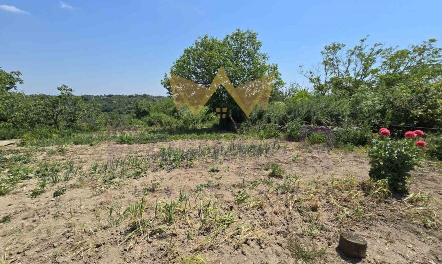 Агенция за недвижими имоти - Имоти Премиер - имот - 1064319, Цена: 65000 EUR