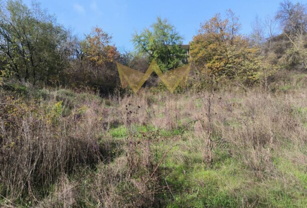 Агенция за недвижими имоти - Имоти Премиер - имот - 1099552, Цена: 69900 EUR