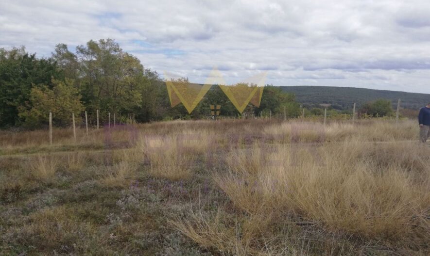 Парцел в с. Долен Близнак -  - снимка 4 - Имоти Премиер