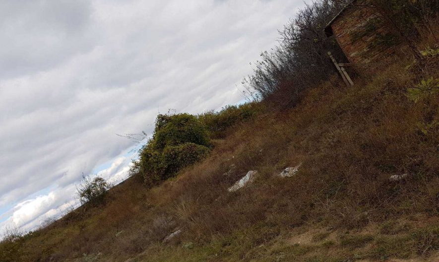 Парцел в с. Куманово, обл. Варна -  - снимка 3 - Имоти Премиер