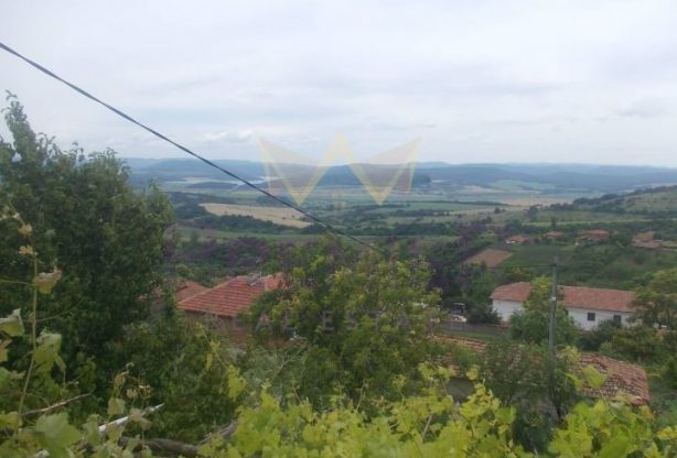 Агенция за недвижими имоти - Имоти Премиер - имот - 984765, Цена: 16200 EUR