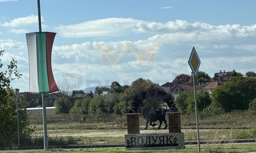 Парцел в с. Волуяк, 5400кв.м -  - снимка 1 - Имоти Премиер