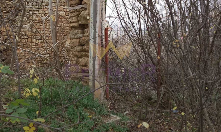 Парцел в с.Дуранкулак, област Добрич -  - снимка 3 - Имоти Премиер