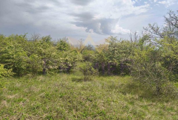 Агенция за недвижими имоти - Имоти Премиер - имот - 1016448, Цена: 40000 EUR