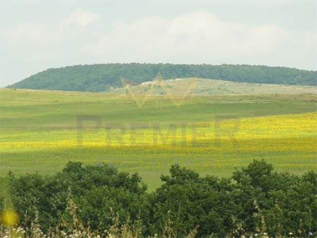 Агенция за недвижими имоти - Имоти Премиер - имот - 978609, Цена: 29999 EUR