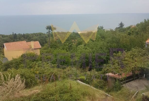 Агенция за недвижими имоти - Имоти Премиер - имот - 1062240, Цена: 60000 EUR