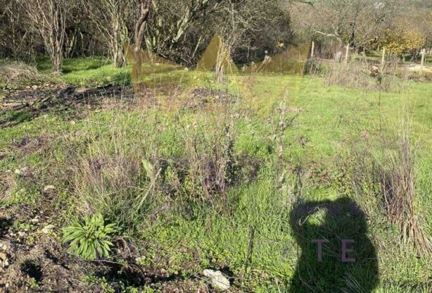 Агенция за недвижими имоти - Имоти Премиер - имот - 1097417, Цена: 23800 EUR