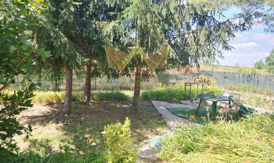 Практична къща (два апартамента с отделни входове) с просторен двор и изключителна локация в с. Котленци, обл. Добрич - - снимка 27 - Имоти Премиер