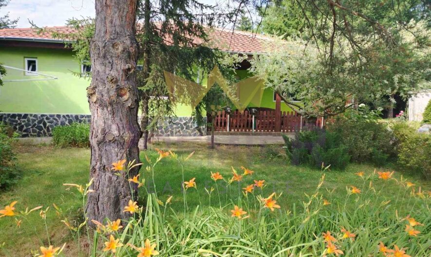 Практична къща (два апартамента с отделни входове) с просторен двор и изключителна локация в с. Котленци, обл. Добрич - - снимка 28 - Имоти Премиер