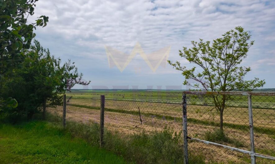 Продава къща село Пленимир област Добрич -  - снимка 16 - Имоти Премиер