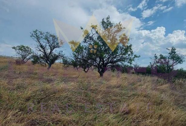 Агенция за недвижими имоти - Имоти Премиер - имот - 909197, Цена: 53500 EUR