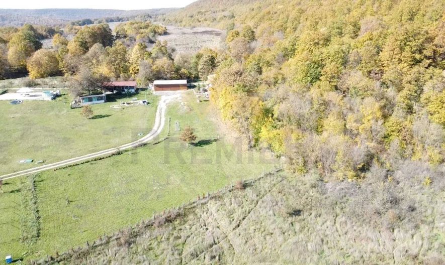 Продава парцел село Долище, област Варна -  - снимка 6 - Имоти Премиер
