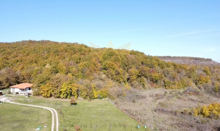 Продава парцел село Долище, област Варна -  - снимка 7 - Имоти Премиер