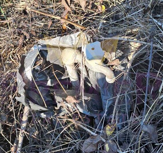 Продава парцел село Садово област Варна -  - снимка 5 - Имоти Премиер