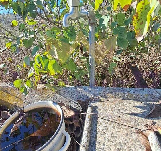 Продава парцел село Садово област Варна -  - снимка 6 - Имоти Премиер