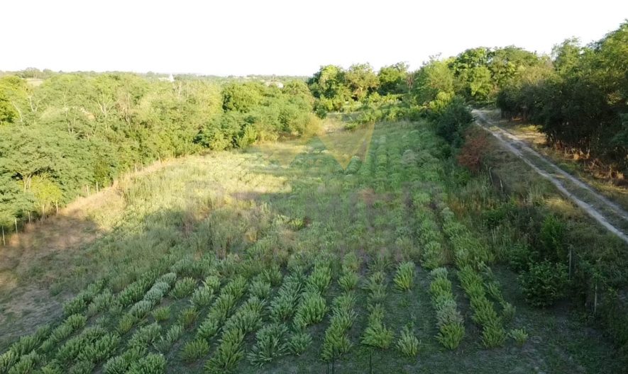 Продава парцел село Щипско област Варна -  - снимка 3 - Имоти Премиер
