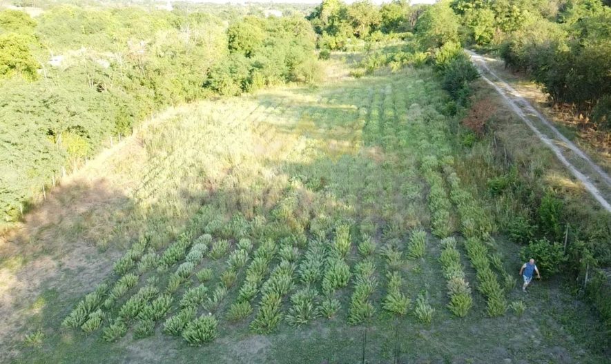 Продава парцел село Щипско област Варна -  - снимка 5 - Имоти Премиер