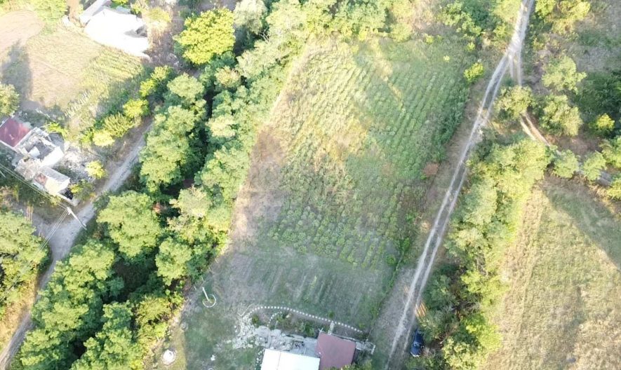 Продава парцел село Щипско област Варна -  - снимка 6 - Имоти Премиер
