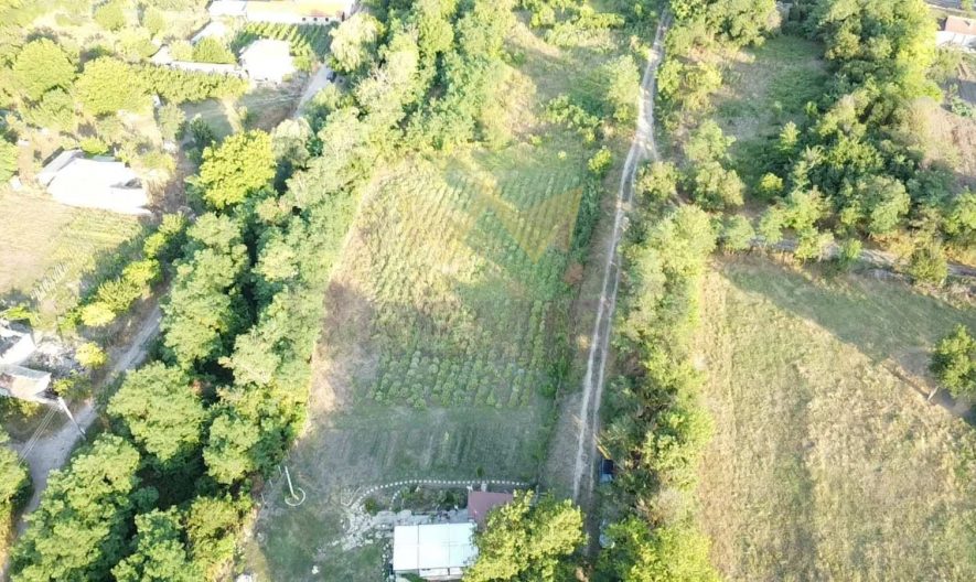 Продава парцел село Щипско област Варна -  - снимка 7 - Имоти Премиер